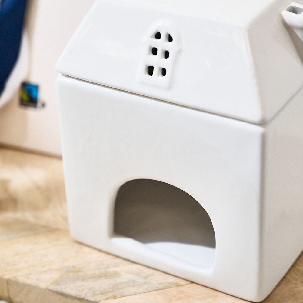 AVA_NEW_HOME_BUNDLE_04