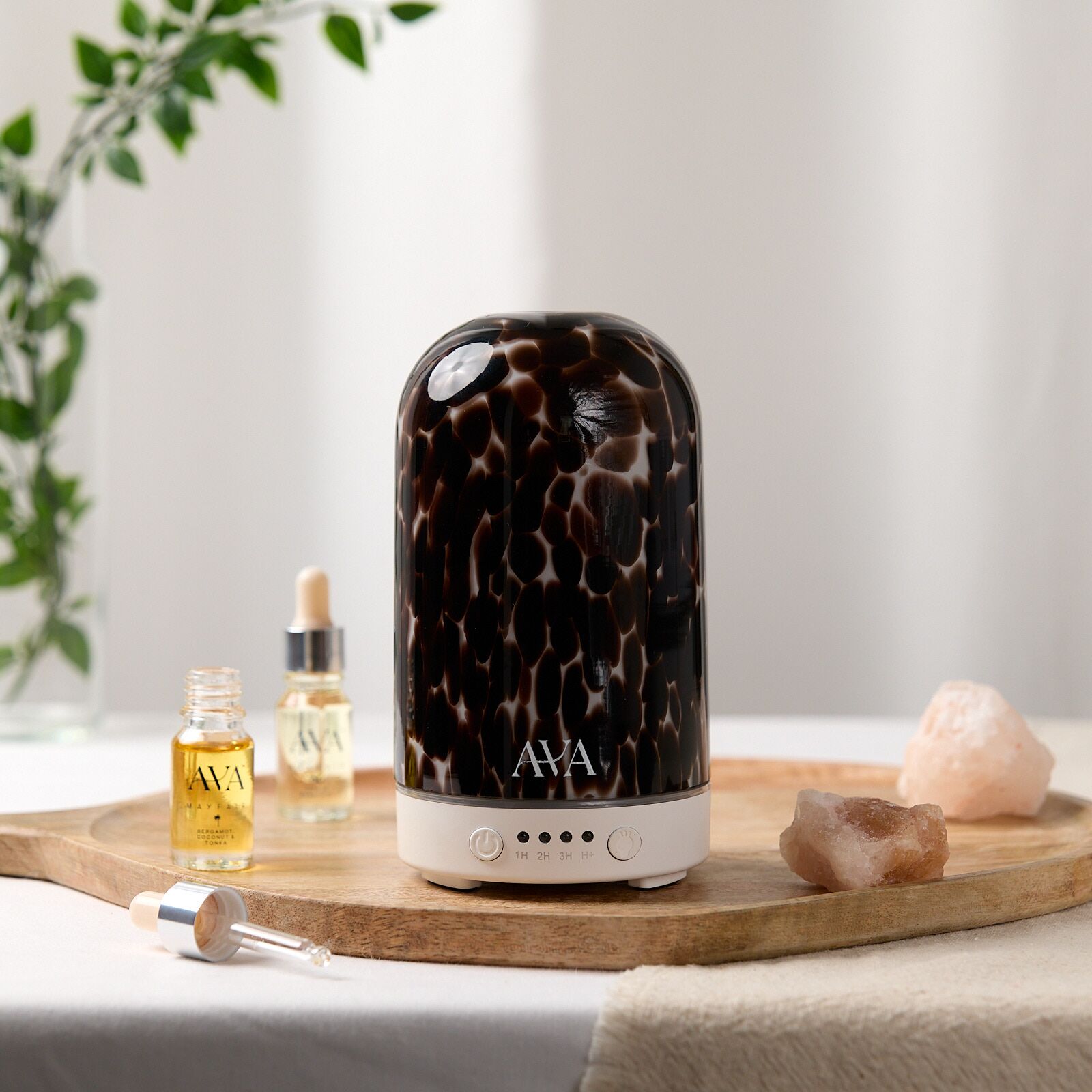 AvaTortDiffCover_1_WEB