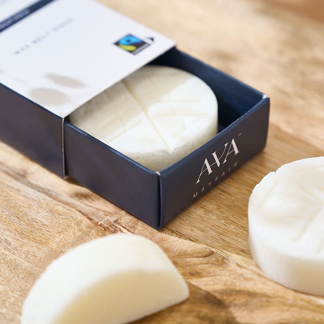 DISCBOX_SANCTUARY_03