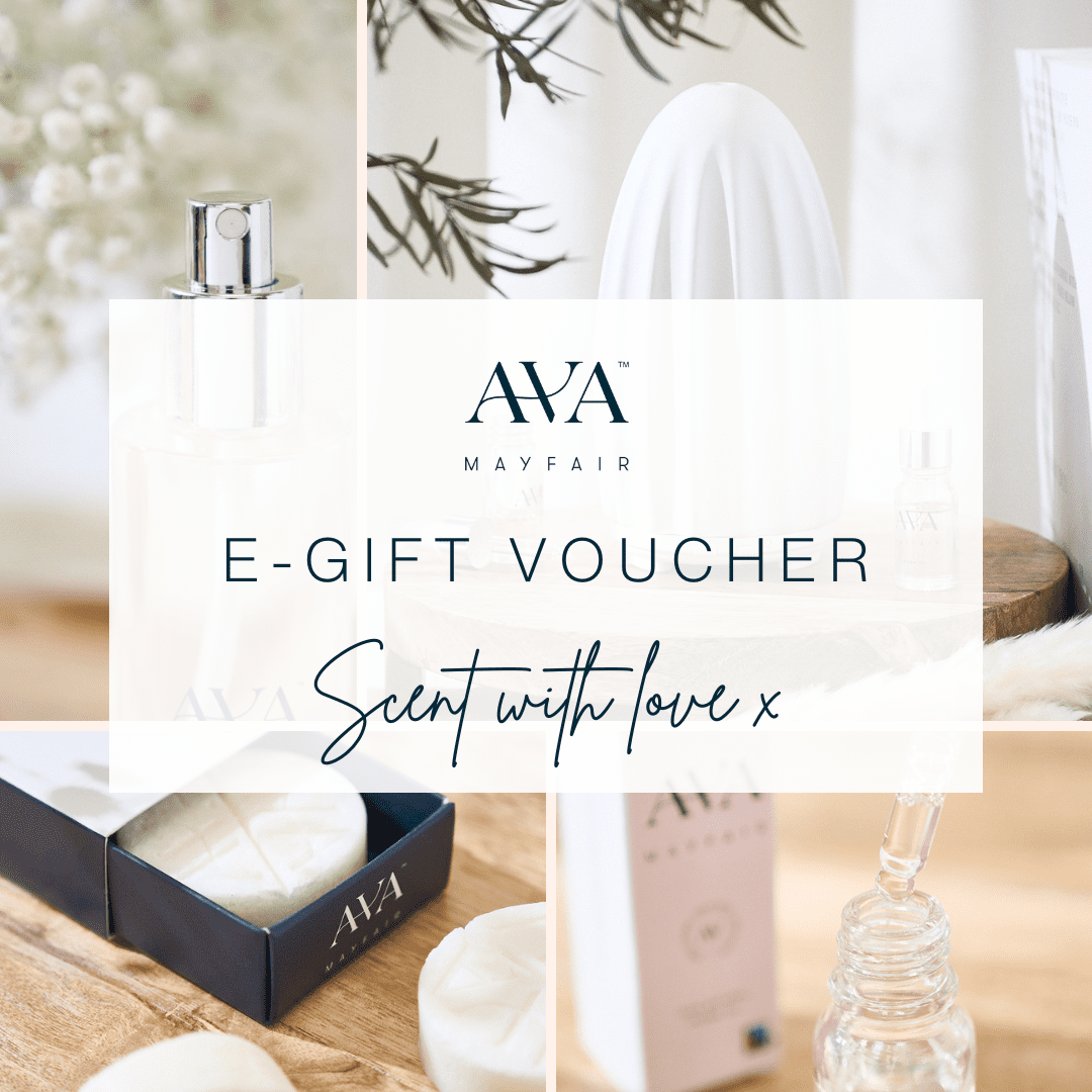 Mayfair Email Artwork (2) Mayfair Email Artwork 2