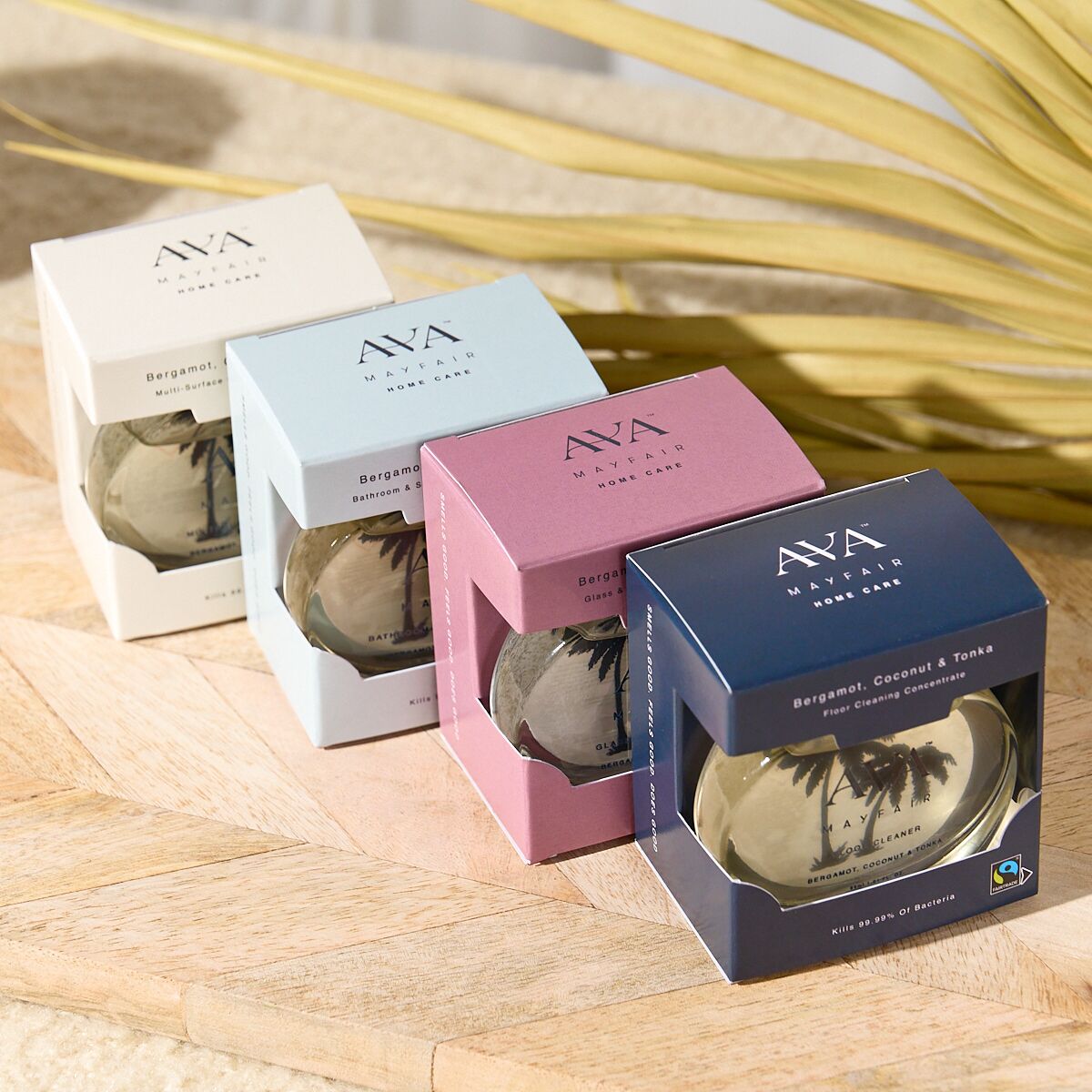 HCBCTALLREFILL_6_Web