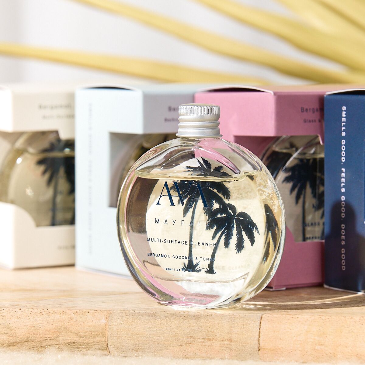 HCBCTALLREFILL_8_Web (1)